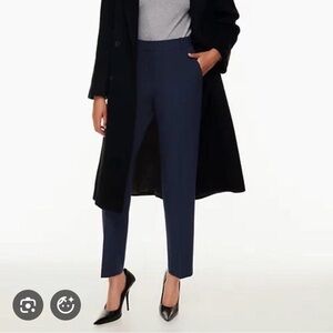 Aritzia Babaton Command Pants